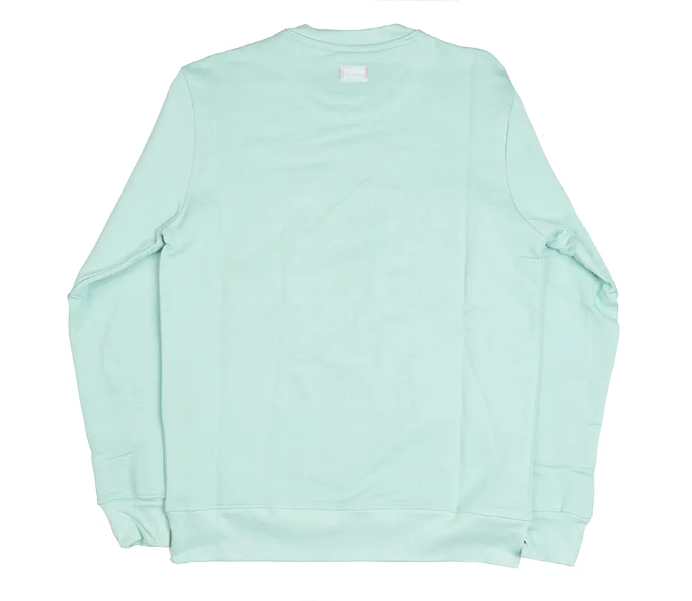 BORN FLY CREWNECK PALE TEAL - 2302C4637