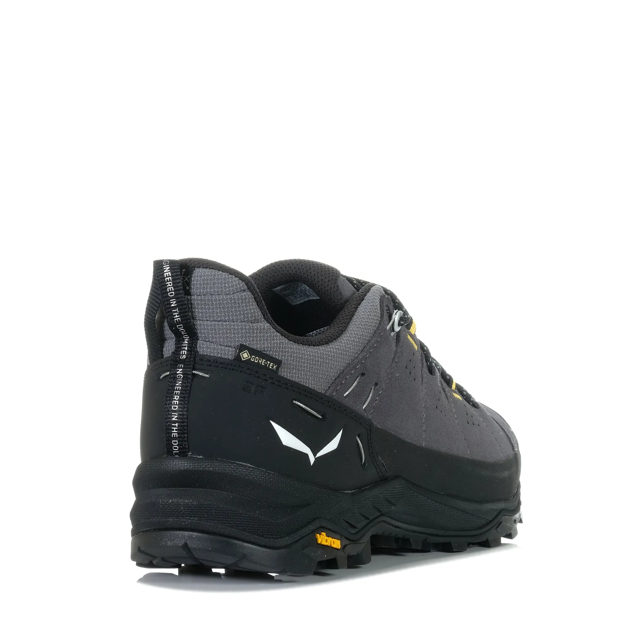 Salewa Alp Trainer 2 GTX Onyx/Black